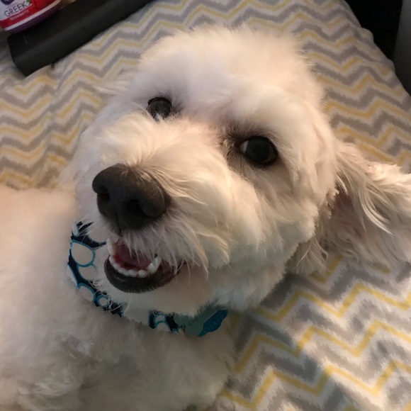 Meet your Posher, Michelle - Picture 3 of 10